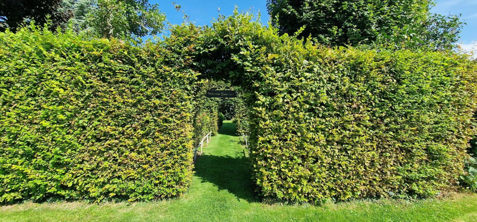 Gite 4 Personnes Avec Piscine Et Bain Nordique Proche Des Plages Du Debarquement Le Manoir  Exterior foto